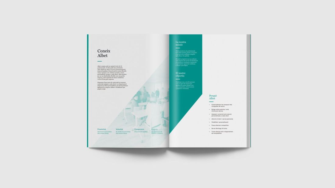 «Meet Albet» spread from the corporate catalogue shown as a mock-up
